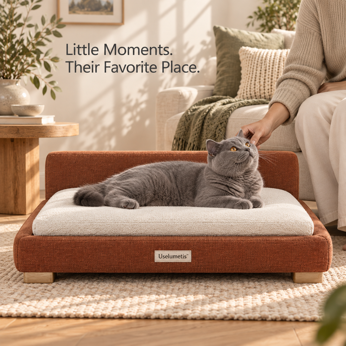 Uselumetis™ Low-Profile Pet Daybed